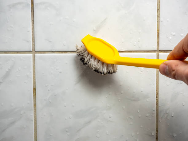 Best Mold Cleaning Services  in Rural Hall, NC