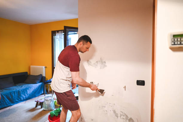 Best Best Mold Removal Companies  in Rural Hall, NC